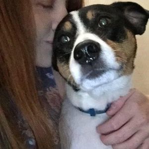 Meet your Posher, Mackenzie